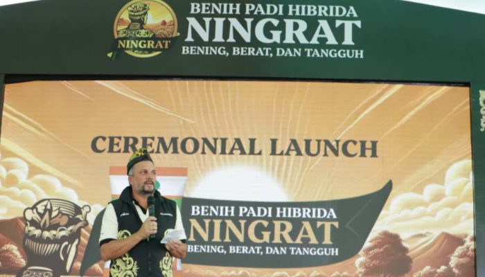 Syngenta Luncurkan Benih Padi Hibrida Ningrat (NK2133) Dukung Swasembada Beras.