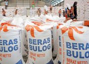Redam “Panic Buying”, Wamentan Pastikan Cadangan Beras Bulog Siap Didistribusikan