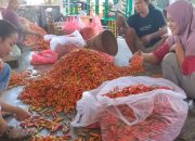 Harga Cabai Rawit di Kediri Kembali Melonjak, Pasokan Mulai Menipis