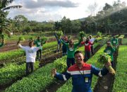 PGN Raih Pengakuan KLH atas Manfaat Sosial dan Lingkungan