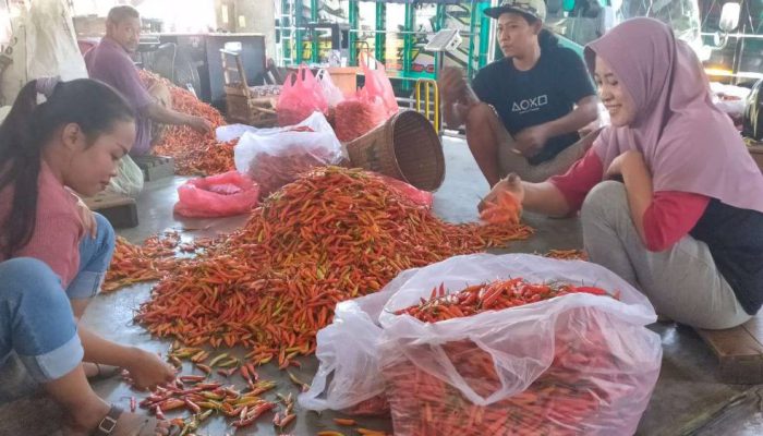 Harga Cabai Rawit Merah di Pasar Induk Pare Naik Rp2.000, Cabai Merah Besar Justru Turun