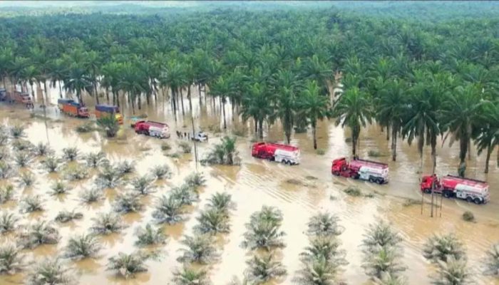 BNPB: Kerusakan Banjir dan Longsor di Sumatra Tembus Rp51,82 Triliun