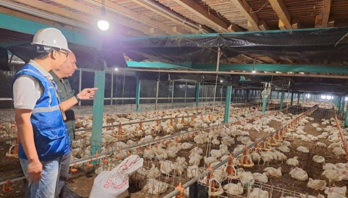 Awal Tahun, Tarif Listrik Seluruh Golongan Tetap hingga Maret 2026