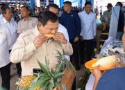 Presiden Prabowo Tinjau Panen Raya di Karawang, Cicipi Produk Pertanian Nasional