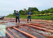 600 Batang Kayu Ilegal Disita Gakkum Kehutanan di Ketapang