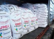 Pemerintah Siapkan 9,55 Juta Ton Pupuk Subsidi untuk Dukung Ketahanan Pangan