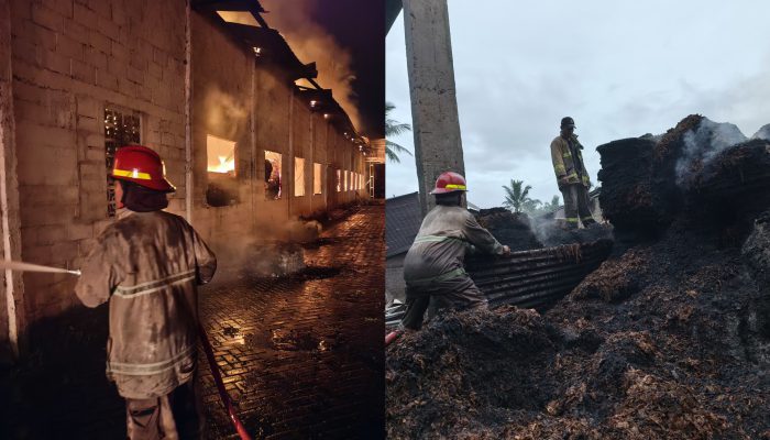 Kebakaran Hebat Hanguskan Gudang Tembakau di Jember, Kerugian Miliaran Rupiah