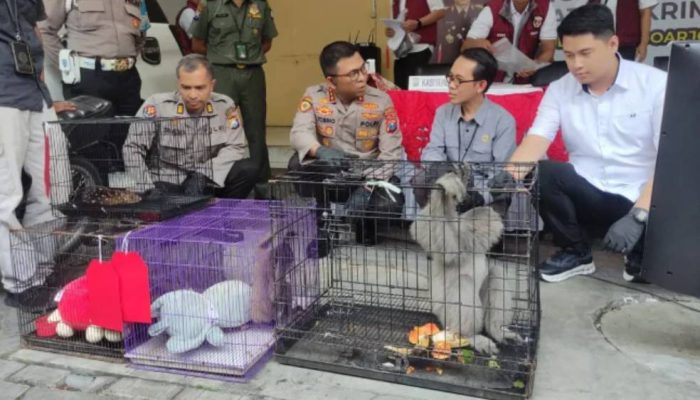 Satreskrim Polresta Sidoarjo Ungkap Perdagangan Satwa Langka Jaringan Internasional