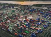 PT TTL Catat Kinerja Positif Februari 2026, Arus Petikemas Tumbuh 8,27 Persen