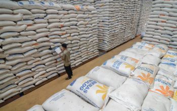 Hadapi Gejolak Timur Tengah, Pemerintah Jamin Ketahanan Pangan RI