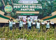 Dongkrak Kesejahteraan Petani, Petrokimia Gresik Berhasil Tingkatkan Produktivitas Melon Pantura hingga 10%