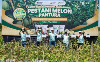Dongkrak Kesejahteraan Petani, Petrokimia Gresik Berhasil Tingkatkan Produktivitas Melon Pantura hingga 10%
