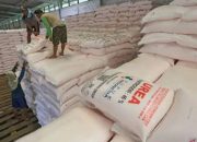 Indonesia Ekspor Pupuk Urea ke Australia, Nilai Potensi Capai Rp 7 Triliun