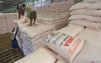 Indonesia Ekspor Pupuk Urea ke Australia, Nilai Potensi Capai Rp 7 Triliun