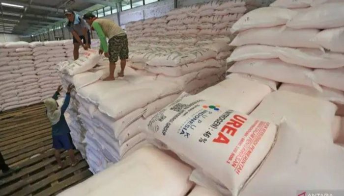 Indonesia Ekspor Pupuk Urea ke Australia, Nilai Potensi Capai Rp 7 Triliun
