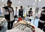 BPJS Kesehatan Imbau Jemaah Calon Haji Pastikan Kepesertaan JKN Aktif Sebelum Berangkat