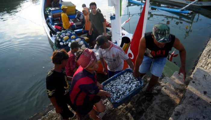 Banyuwangi Jadi Laboratorium Ekonomi Biru, Delegasi ASEAN Siap Belajar