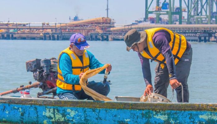 TTL Gandeng BRIN Petakan Biota Laut Teluk Lamong untuk Perkuat Pengelolaan Lingkungan