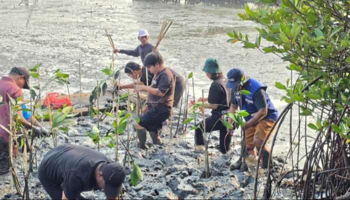 Program Donasi Oksigen, TPS Salurkan 3.000 Bibit Mangrove ke Tambak Sarioso