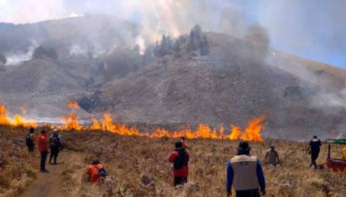 Resmi Dibuka 20 Agustus, Pemerintah Minta Wisatawan Bromo Waspadai Risiko Kebakaran