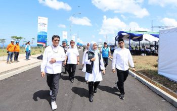 Prabowo Luncurkan PLTS 100 GW, Banyuwangi Kebagian Proyek 130,2 MWp