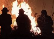 BPBD Banyuwangi Tetapkan 4 Kecamatan Zona Merah Rawan Kebakaran Hutan