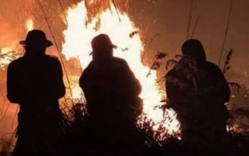 BPBD Banyuwangi Tetapkan 4 Kecamatan Zona Merah Rawan Kebakaran Hutan
