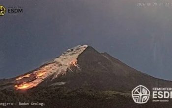 Gunung Merapi Erupsi Lagi, Awan Panas Guguran Meluncur 2 Kilometer