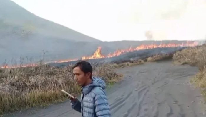 Kebakaran Melanda Bukit Teletubbies, Petugas Gabungan Dikerahkan