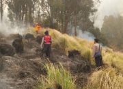 Kebakaran TNBTS Diselidiki, Kementerian Kehutanan Libatkan Ahli Kebakaran Hutan