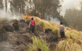 Kebakaran TNBTS Diselidiki, Kementerian Kehutanan Libatkan Ahli Kebakaran Hutan