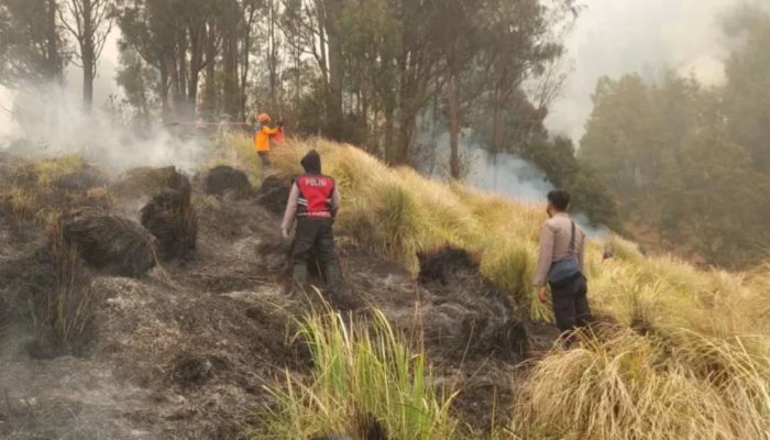 Kebakaran TNBTS Diselidiki, Kementerian Kehutanan Libatkan Ahli Kebakaran Hutan
