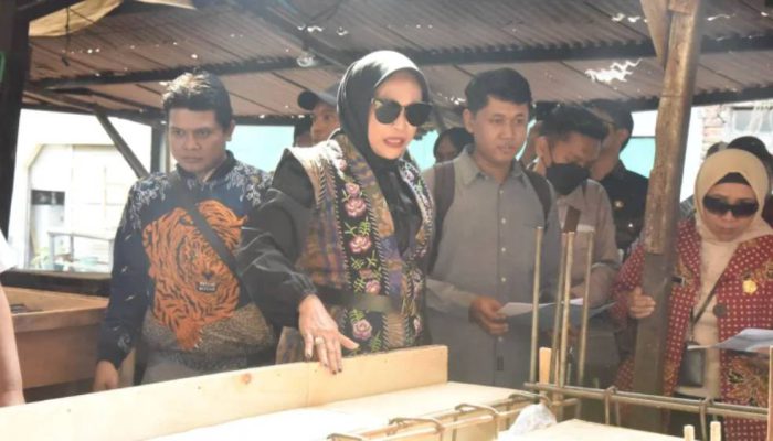 Mimik Idayana Sidak Proyek Pasar Taman Sidoarjo, Ada Pekerjaan Progres 0 Persen