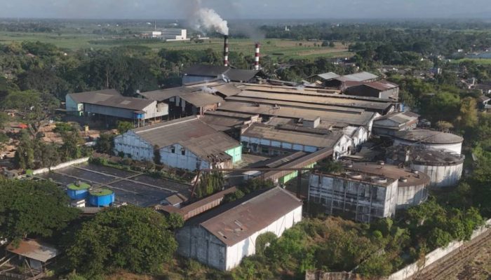 Tebu Petani Terserap, PG Ngadiredjo Perkuat Produksi Gula Nasional