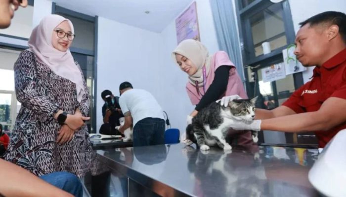 Vaksinasi Rabies Gratis di Banyuwangi, 315 Kucing dan Anjing Dapat Layanan Kesehatan