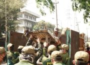 Satpol PP Sidoarjo Tegas Tertibkan Bangunan Liar di Frontage Road Waru