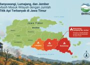 BMKG Ungkap Hotspot Jawa Timur, Jember-Lumajang-Banyuwangi Jadi Perhatian