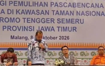 Titik Api Muncul di Bromo, BPBD Jatim Minta Warga Pastikan Bara Padam