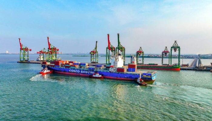 Lima Tahun Merger Pelindo, Terminal Teluk Lamong Catat Lonjakan Arus Peti Kemas hingga 2,18 Juta TEUs