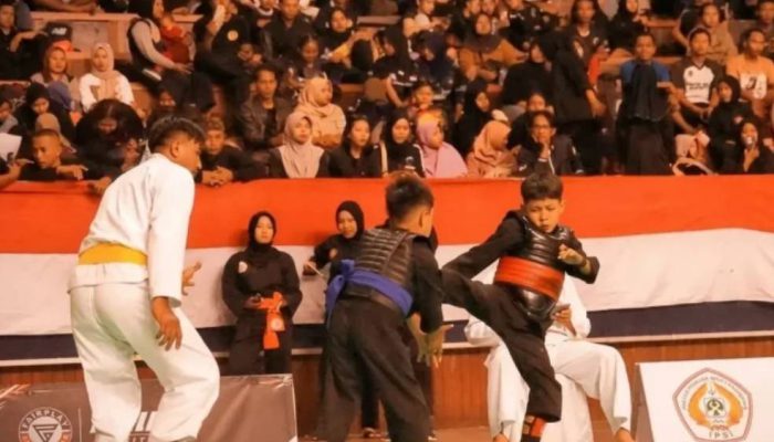 Kejuaraan Pencak Silat Bupati Cup VIII Magetan Sukses, PSHT Cabang Magetan Juara Umum
